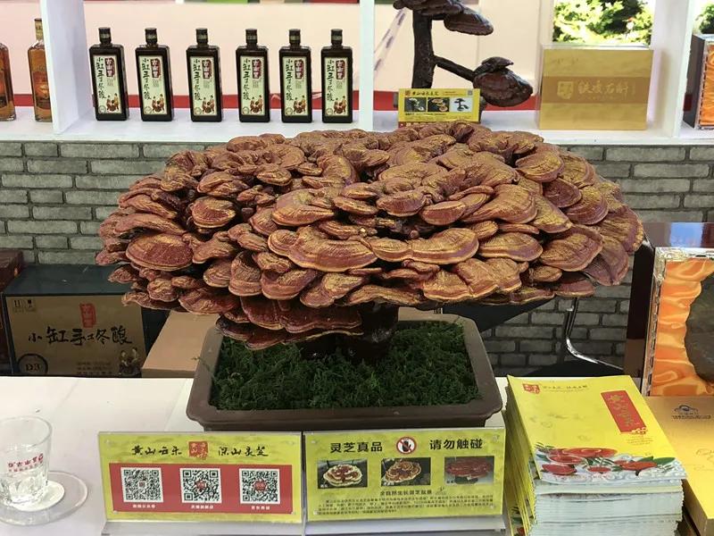 合肥农交会东西便宜吗,合肥农交会上的特产