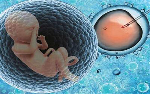 精子检查里面没有精子怎么治疗好,精子检查出没有精子怎么治疗