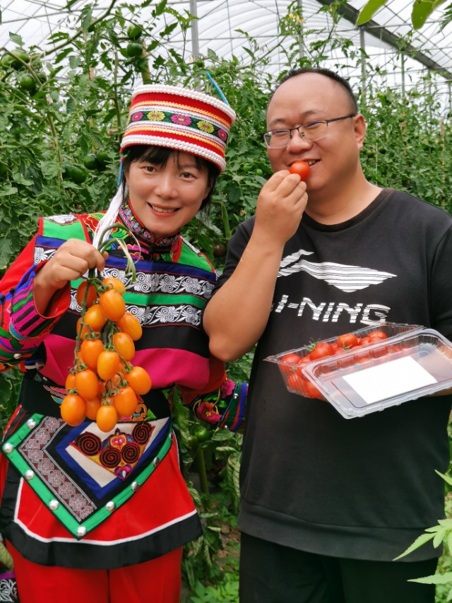 寻甸渔乐谷最新消息,寻甸欢乐世界项目大全