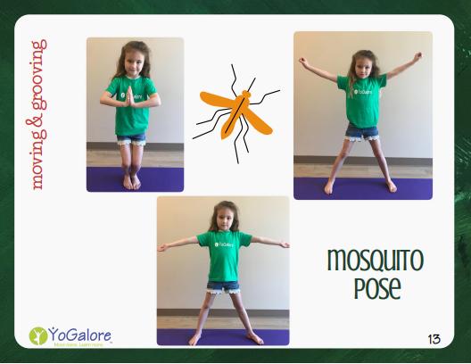 卡尔和爷爷,瑜伽卡和健身卡哪个好