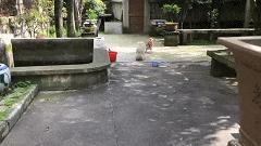 大叔刷百万礼物,大叔刷100万见网红