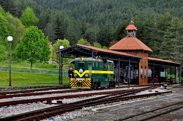 塞尔维亚老铁介绍,塞尔维亚有什么小众东西