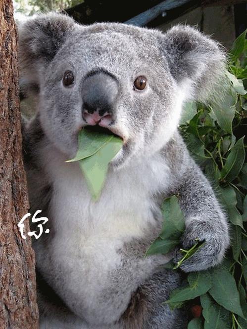 日本网红西餐连锁：“机关算尽”员工的每一秒，手把手教你如何开爆款餐饮店