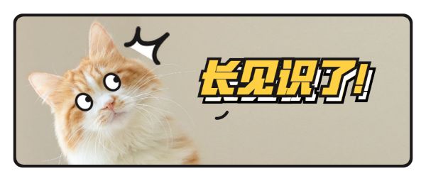 铲屎的时候怎么看猫咪是否软便,铲屎官必看完整视频