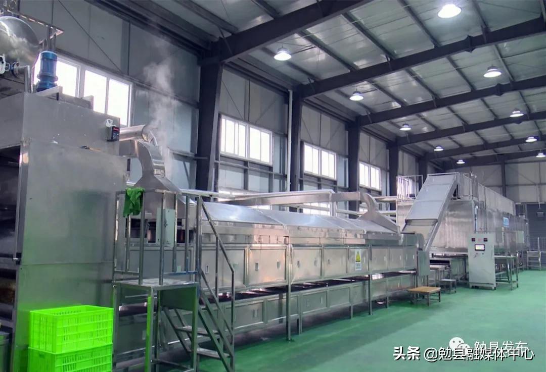 镇川镇胡家渡村：细⻓红薯粉，搭起致富桥