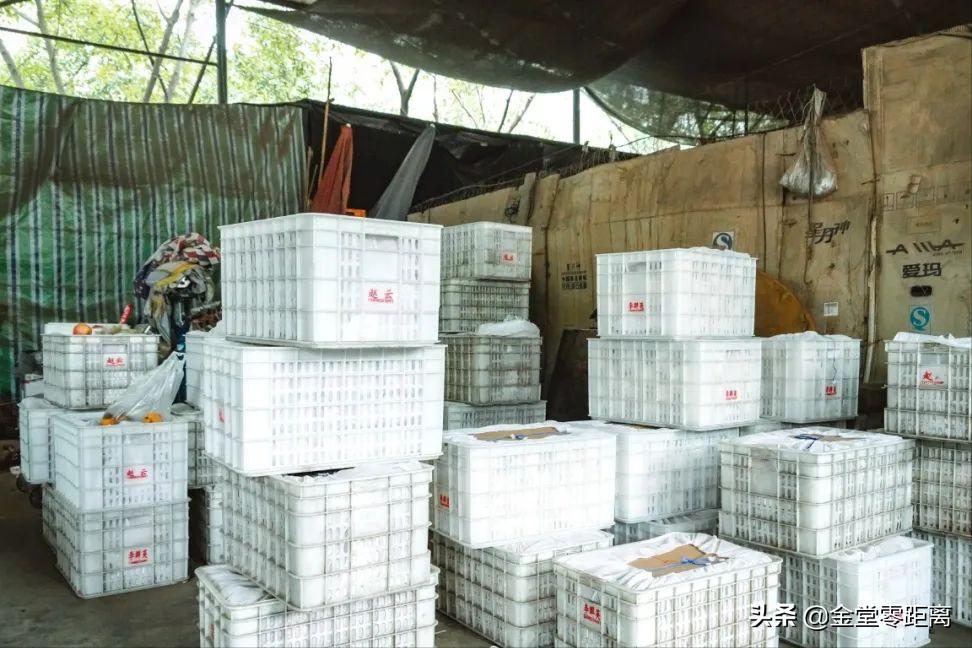 好久不见的农贸市场,三星农贸市场