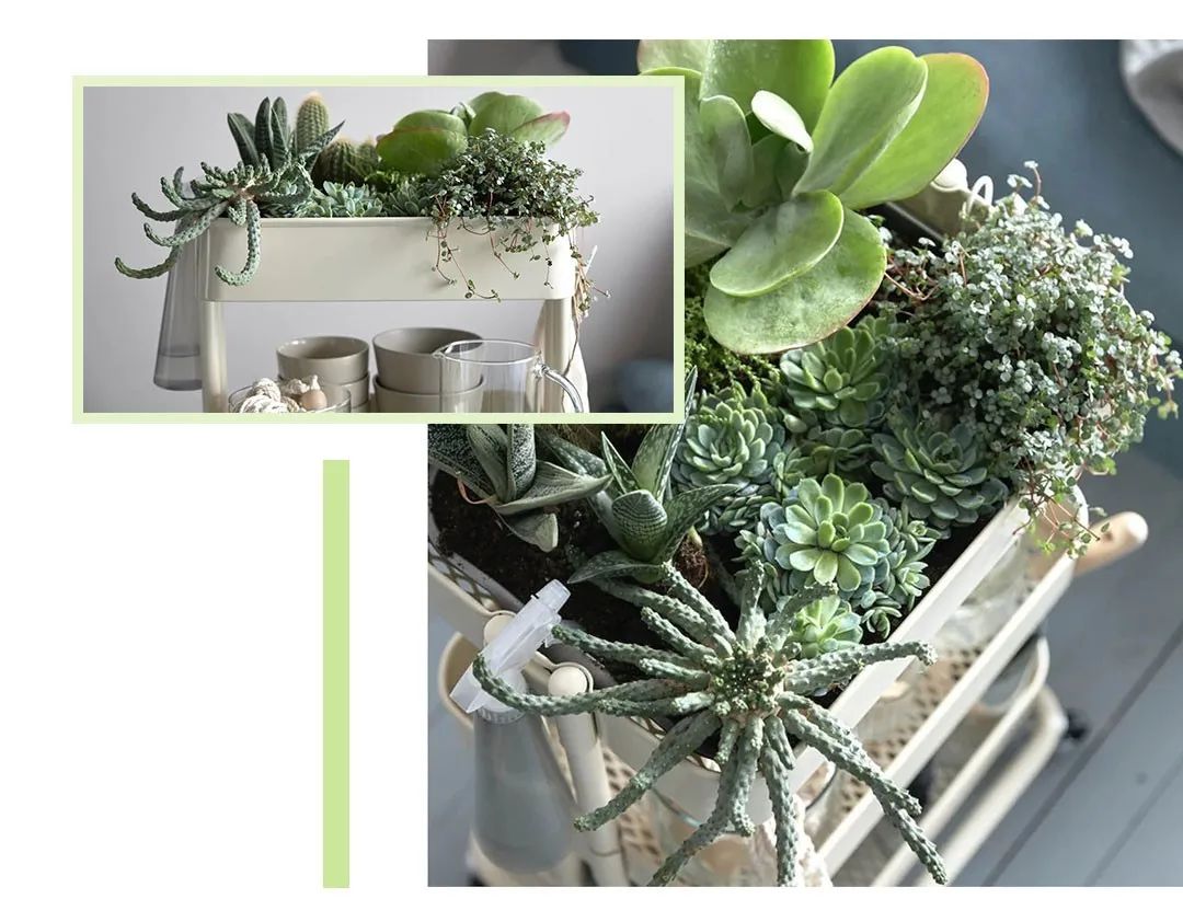 青岛宜家好物推荐,青岛宜家必买15件东西