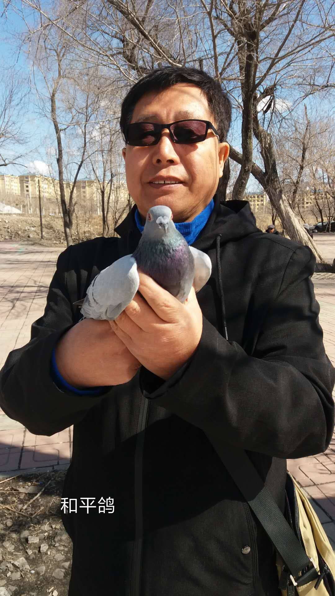 一路秋色,一路秋色一路景