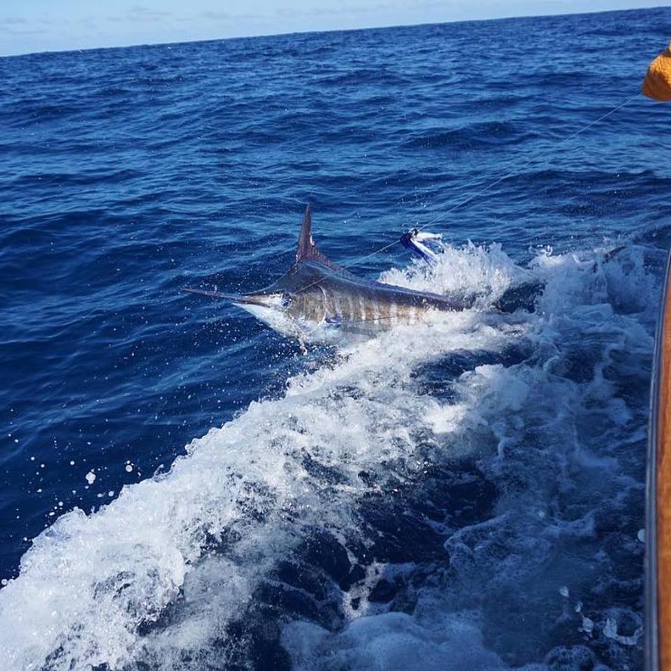 海钓超级刺激,海钓极限钓鱼
