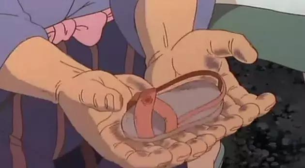 龙猫最久能活多久,龙猫30秒