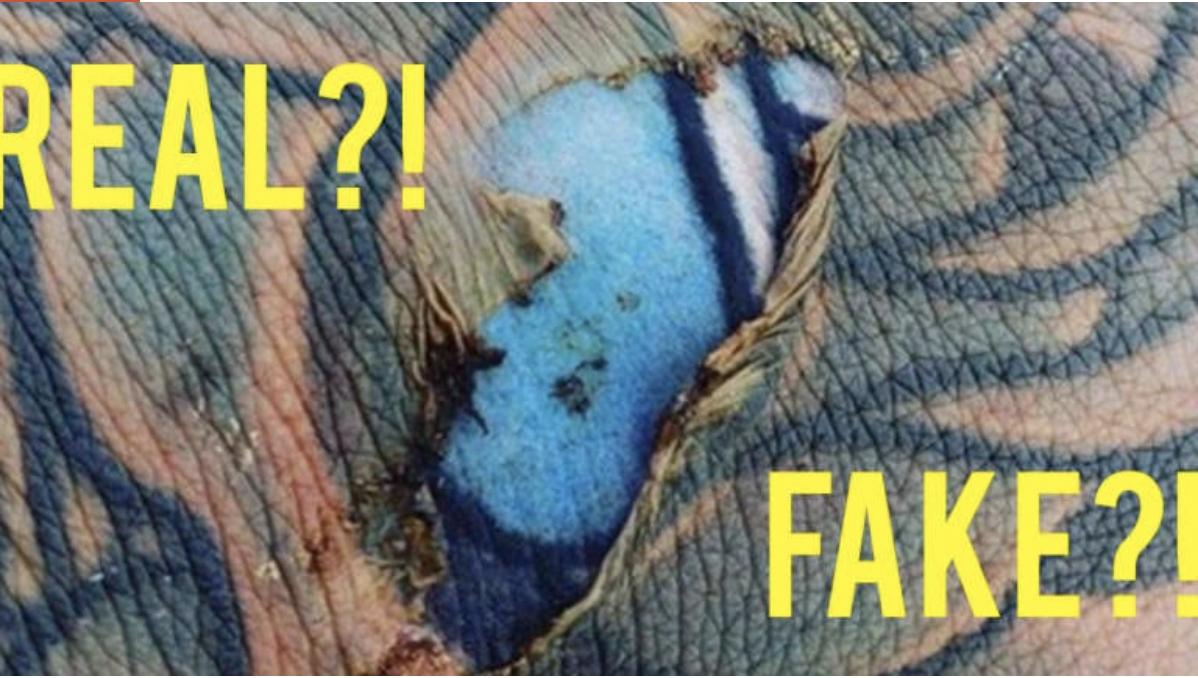 关于纹身的7个冷门小知识,关于纹身你不知道的事