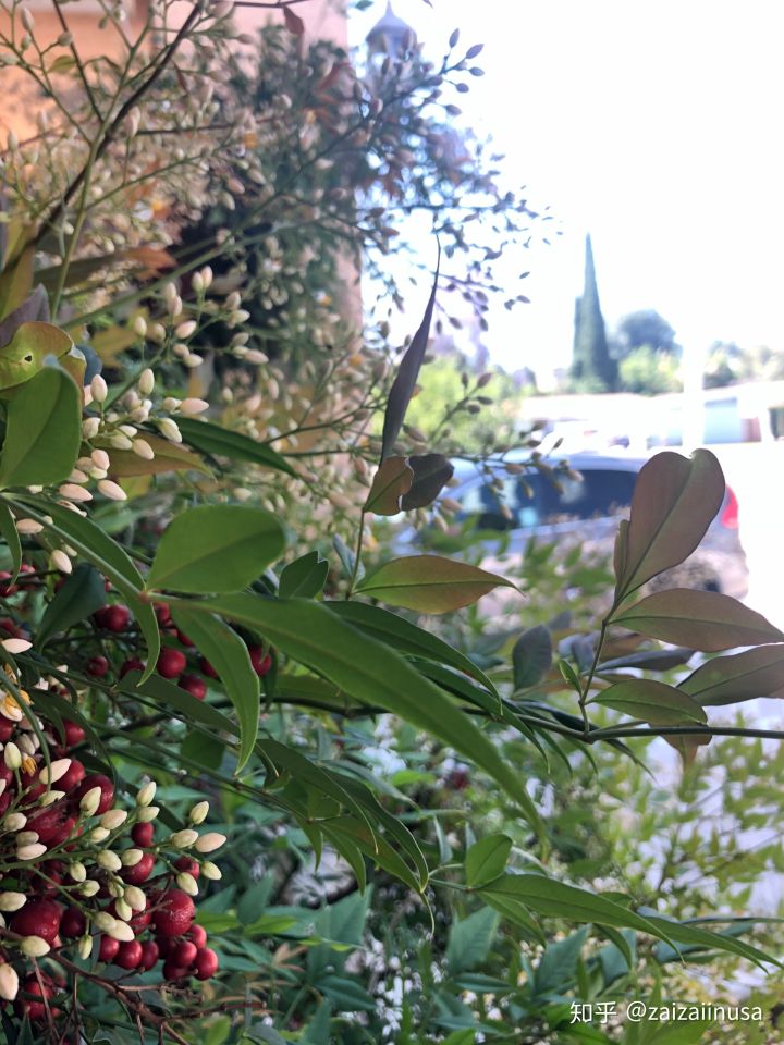 美国现在真实社会现状,美国社会真实的现状