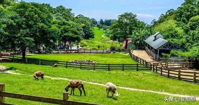 大学生回乡创业对乡村振兴的影响,青年回乡创业助力乡村振兴