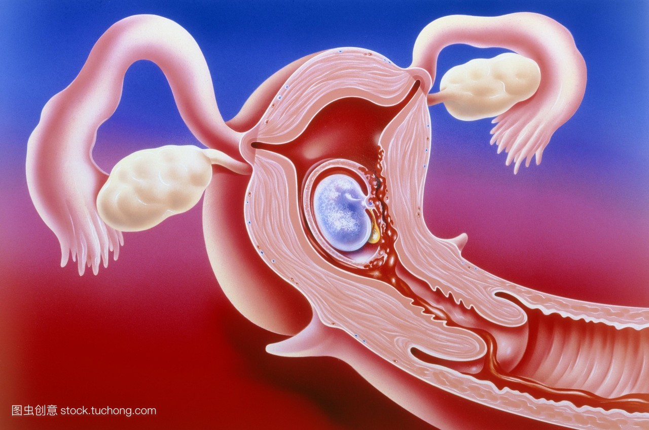 药流伤害不大吧,药流是伤害最小的方式吗
