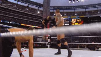 wwe最强的十大终结技,wwe十大最强必杀技