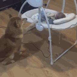 小孩怎么训练自主入睡,如何培养2岁宝宝自主入睡