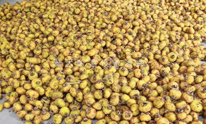 贵州野果可酿酒,农村野果酿酒设备