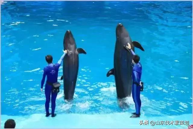 日照花仙子打卡地,日照东夷小镇旅游攻略