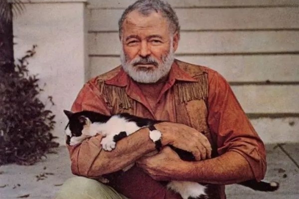 海明威老人与海名言名句经典语录,老人与海海明威内心独白的作用