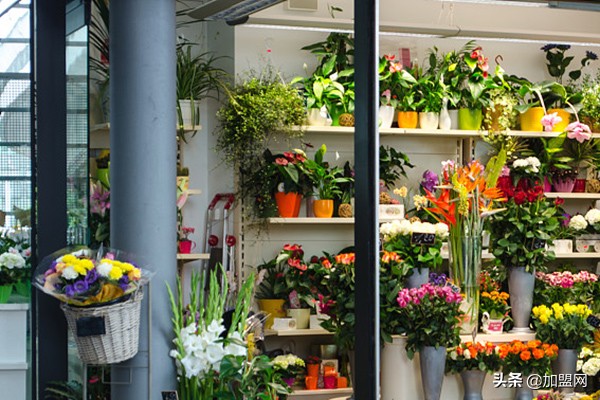 有哪些市场适合大学生创业,在校大学生创业项目推荐