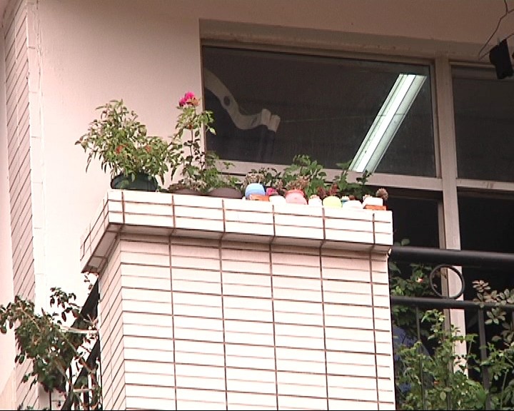 “别人家系列”！江大“宝藏男孩”，在宿舍里打造了一座“空中花园”