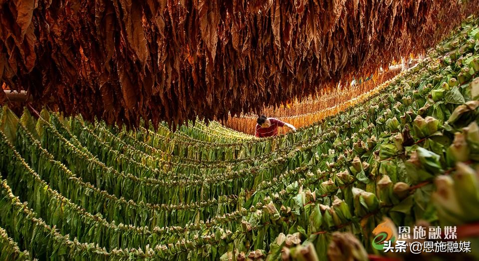 李伦英：用镜头记录家乡的美丽