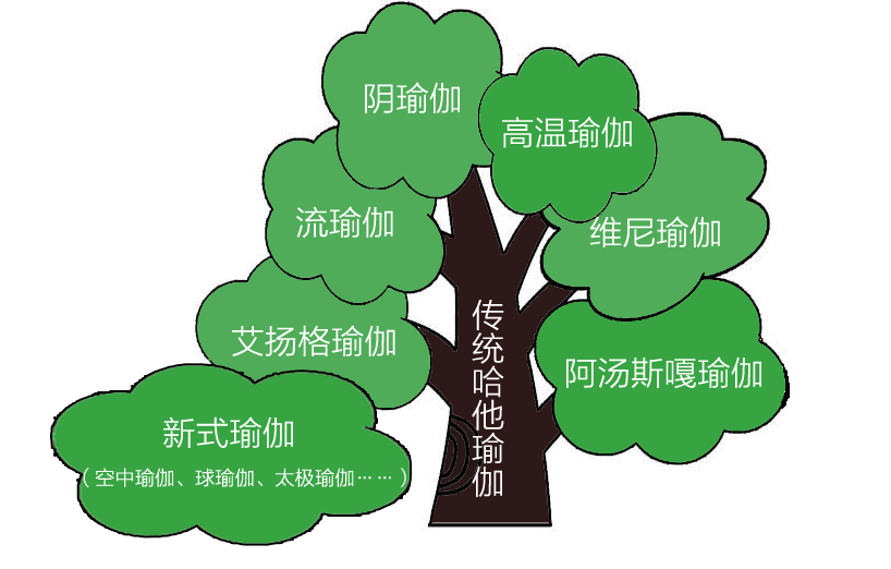 瑜伽树式练习,你到底适合哪种瑜伽练习