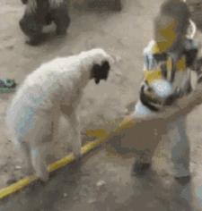 揭秘互联网比较常见的网赚骗局,知识分享割韭菜新套路