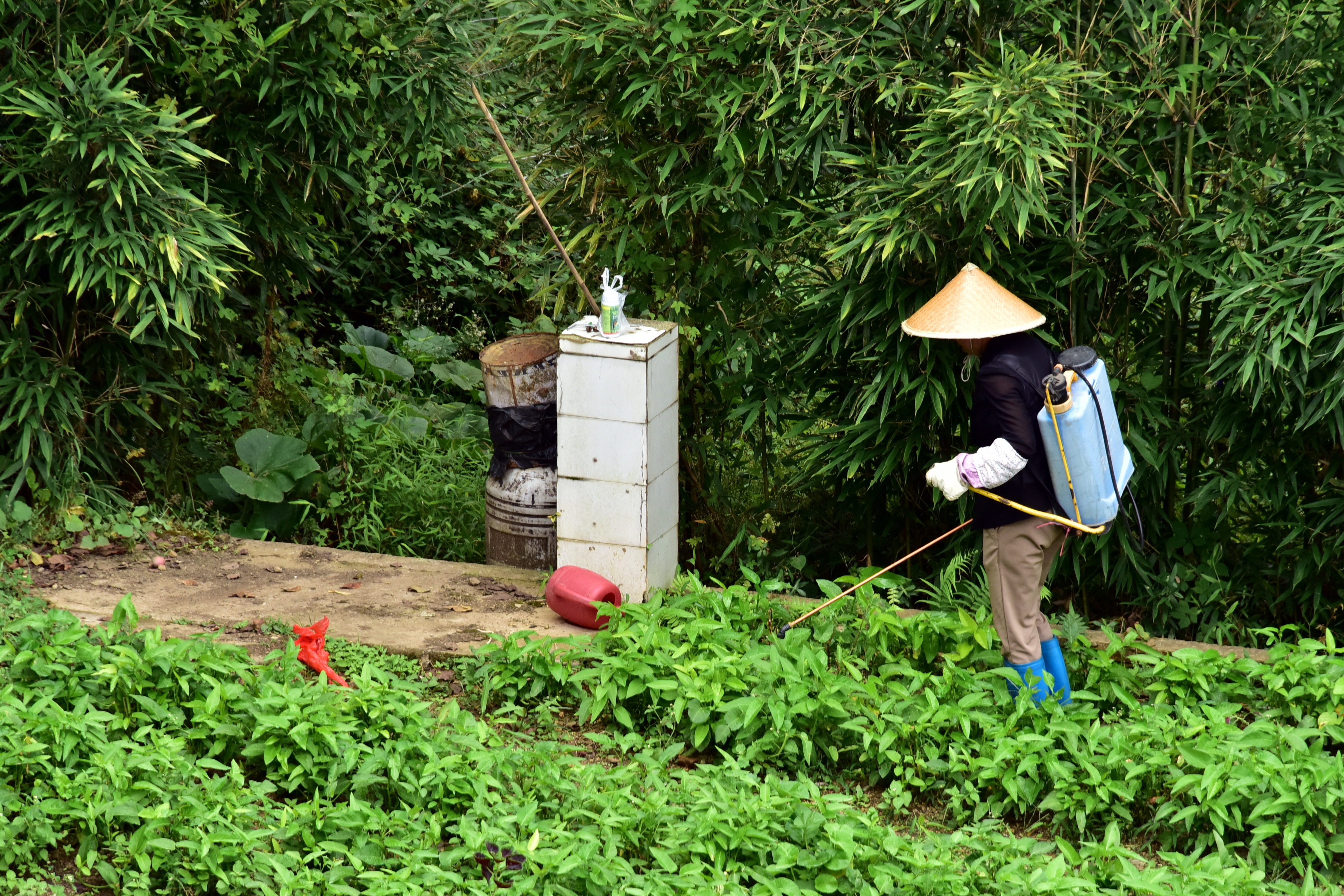 农民补贴新政策最新消息,农民合法补贴政策解读