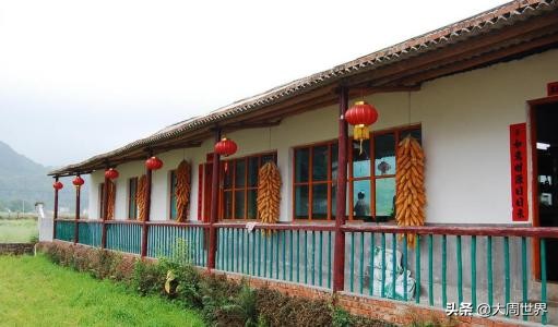 农村妇女创业做哪些项目比较好,55到65岁在农村能创业什么项目