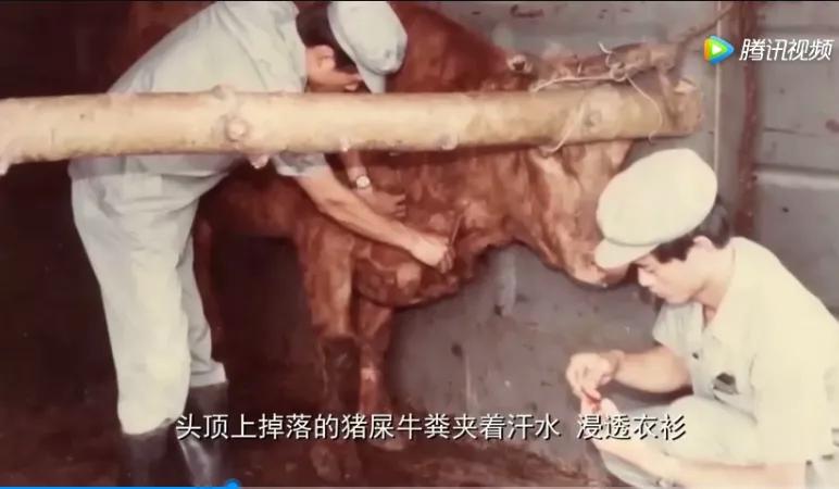 三趟快车|不为人知的“赶车人”(二)