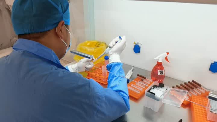 与时间赛跑的神舟五号,与时间赛跑295