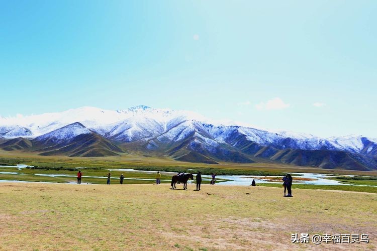 有了这攻略,自驾*藏西**游省心很多