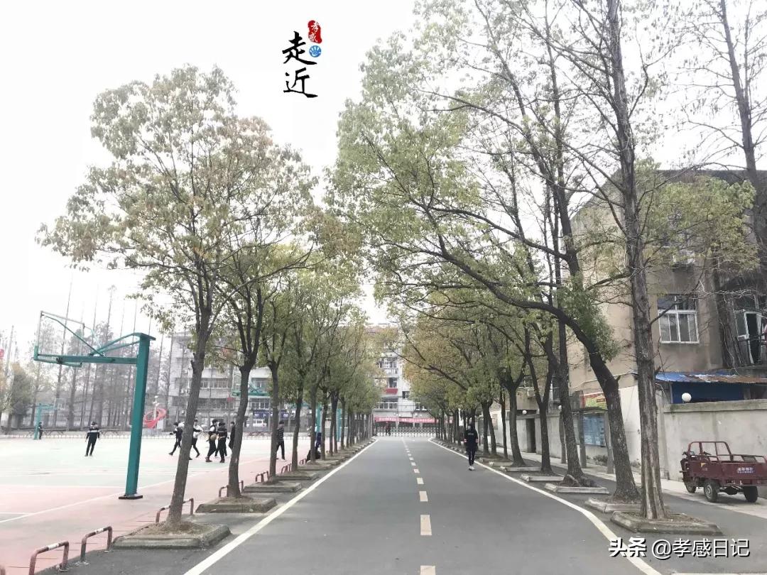 湖北孝感高级中学最新消息,孝感高级中学将进行大改造