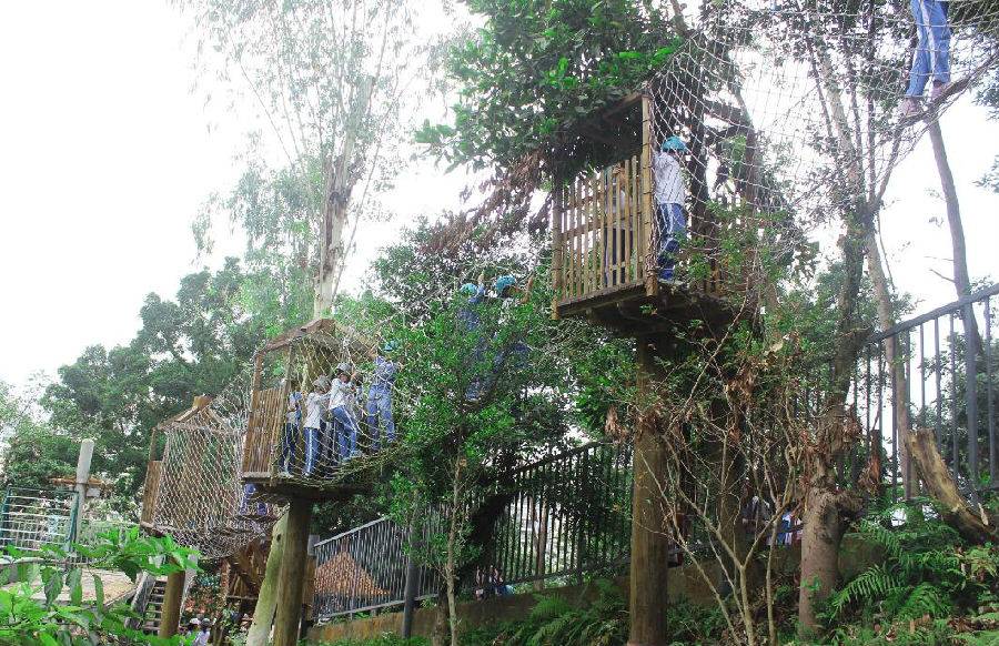 可拉熊丛林探险基地,深圳可拉熊丛林探险营地