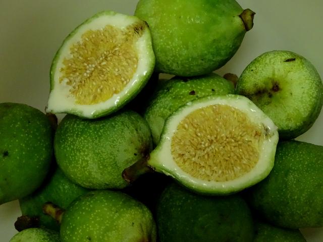 盛夏，一起品薜荔之文化，尝木莲之美味