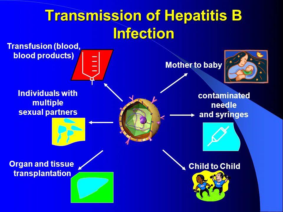 能和乙肝小三阳的人处对象吗,乙肝小三阳谈恋爱需要告知对方吗