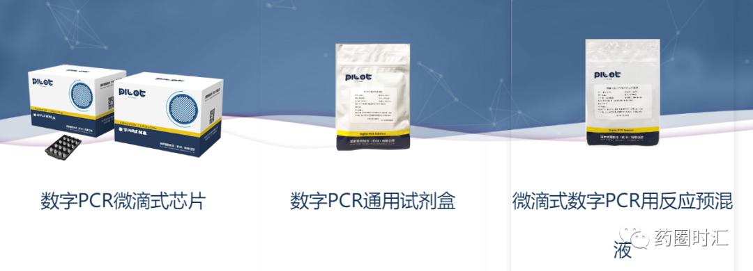 公司|分子诊断——领航基因