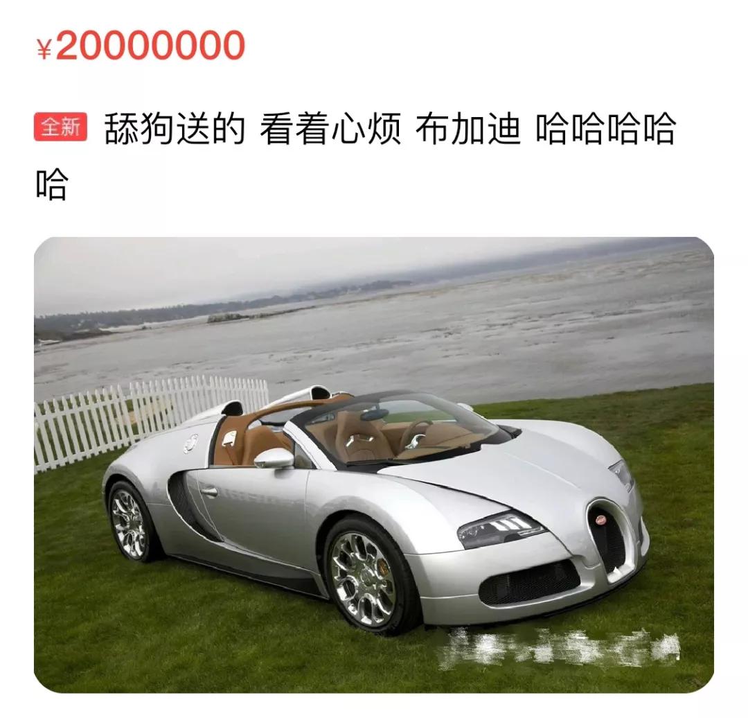 代相亲和求挨骂的闲鱼奇葩卖家，你们是认真的吗？