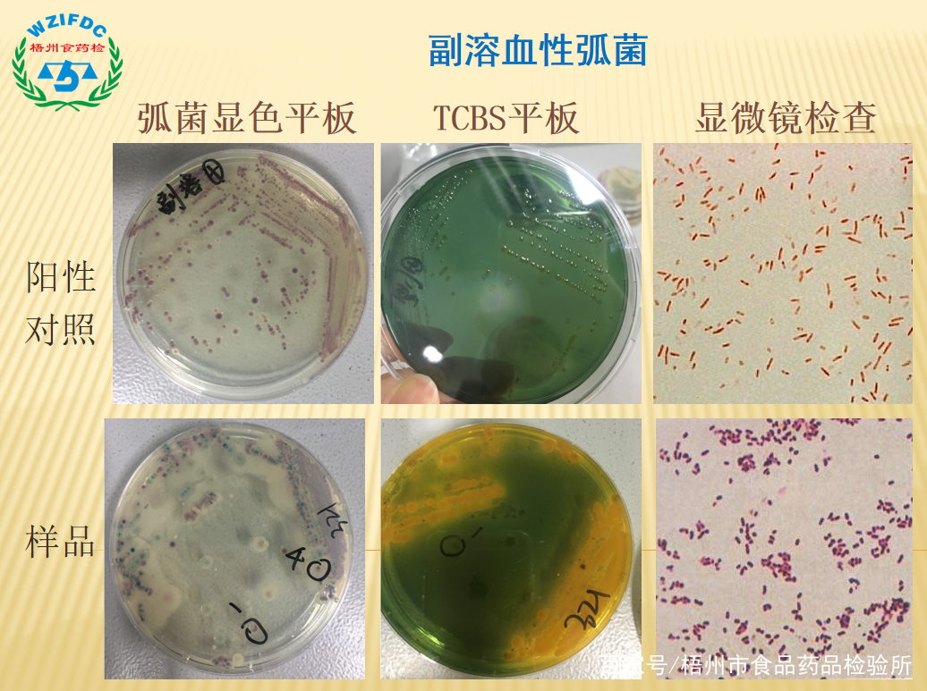 梧州市食品药品检验所在哪里,梧州市食品药品检验所电话