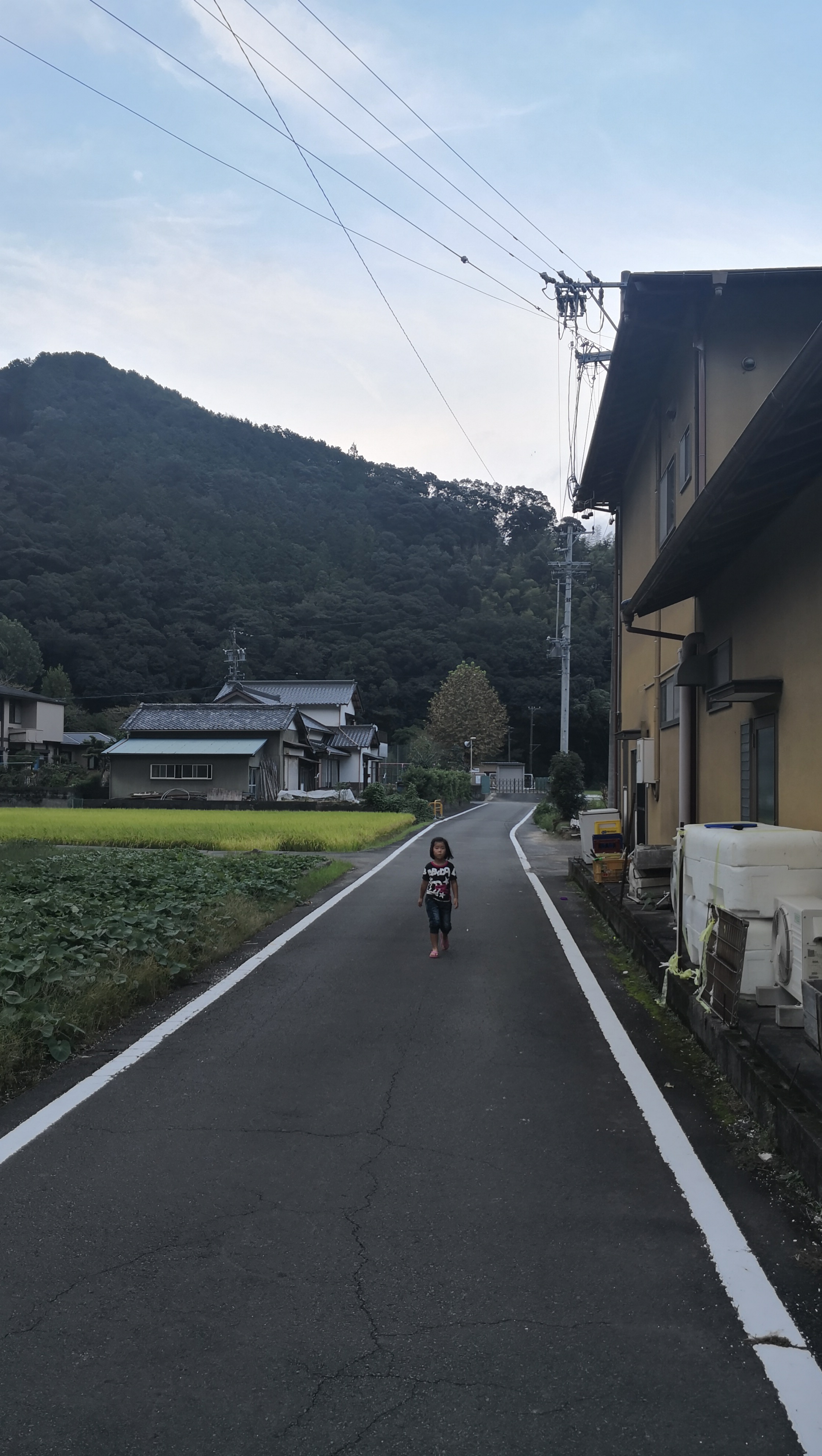 日本旅游攻略本州双古都7天,日本本州六日游攻略