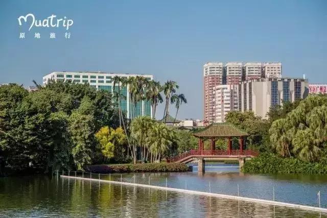 地铁直达!广州15个最适合春游的打卡点,春暖花开超好玩!