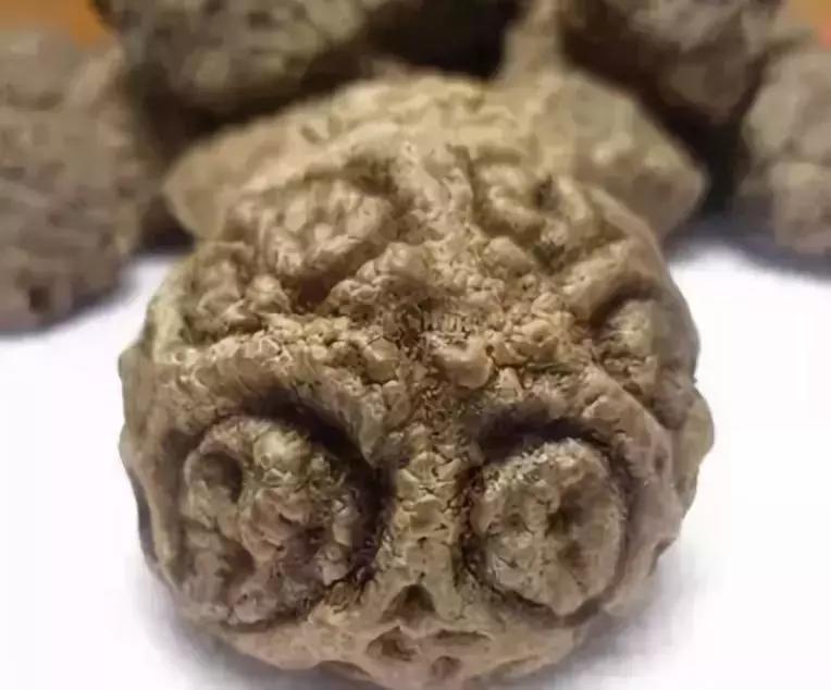 所有菩提手串大展示,菩提手串大全视频