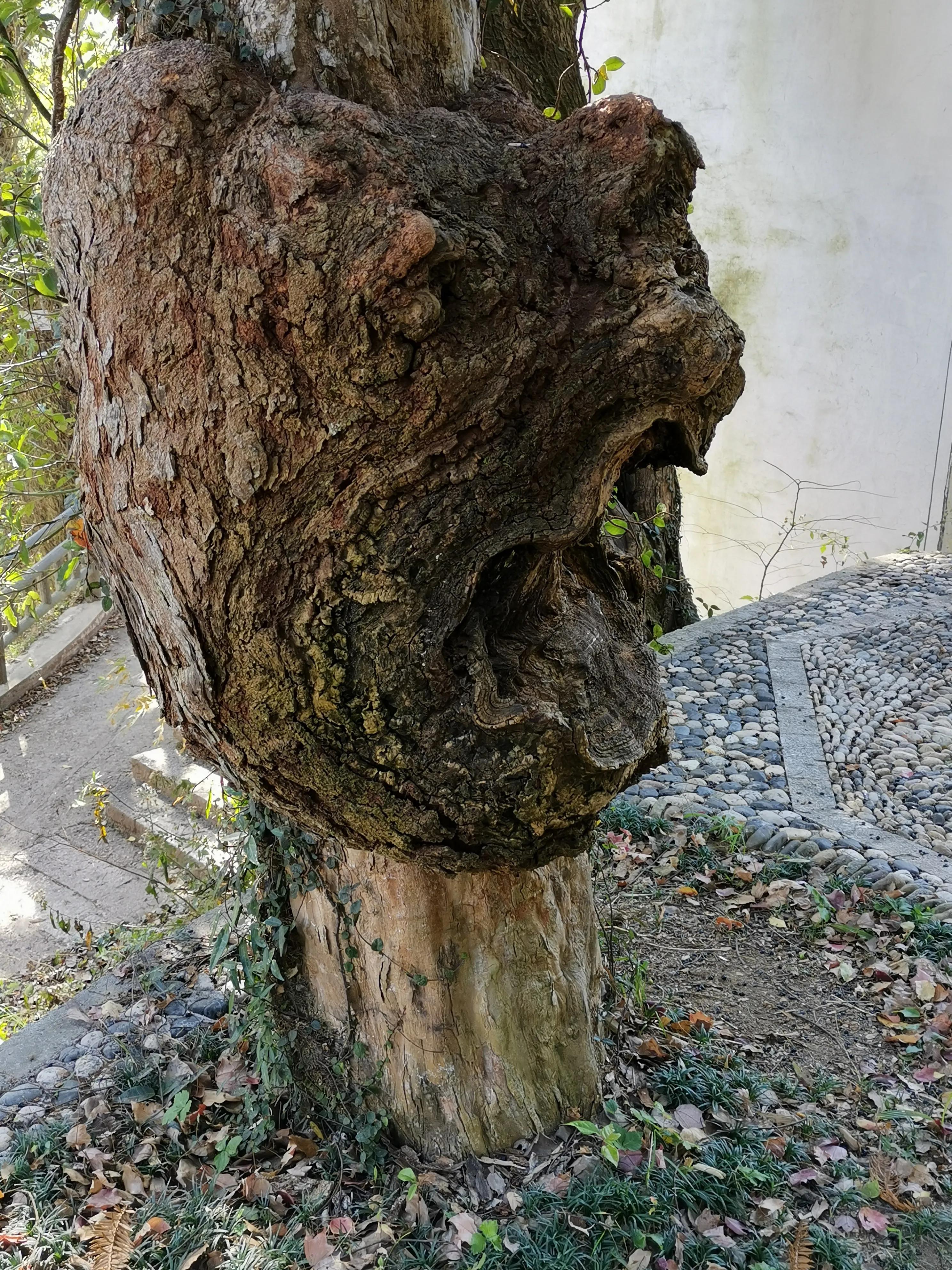 竹溪好耍的巷子,竹溪县青石板