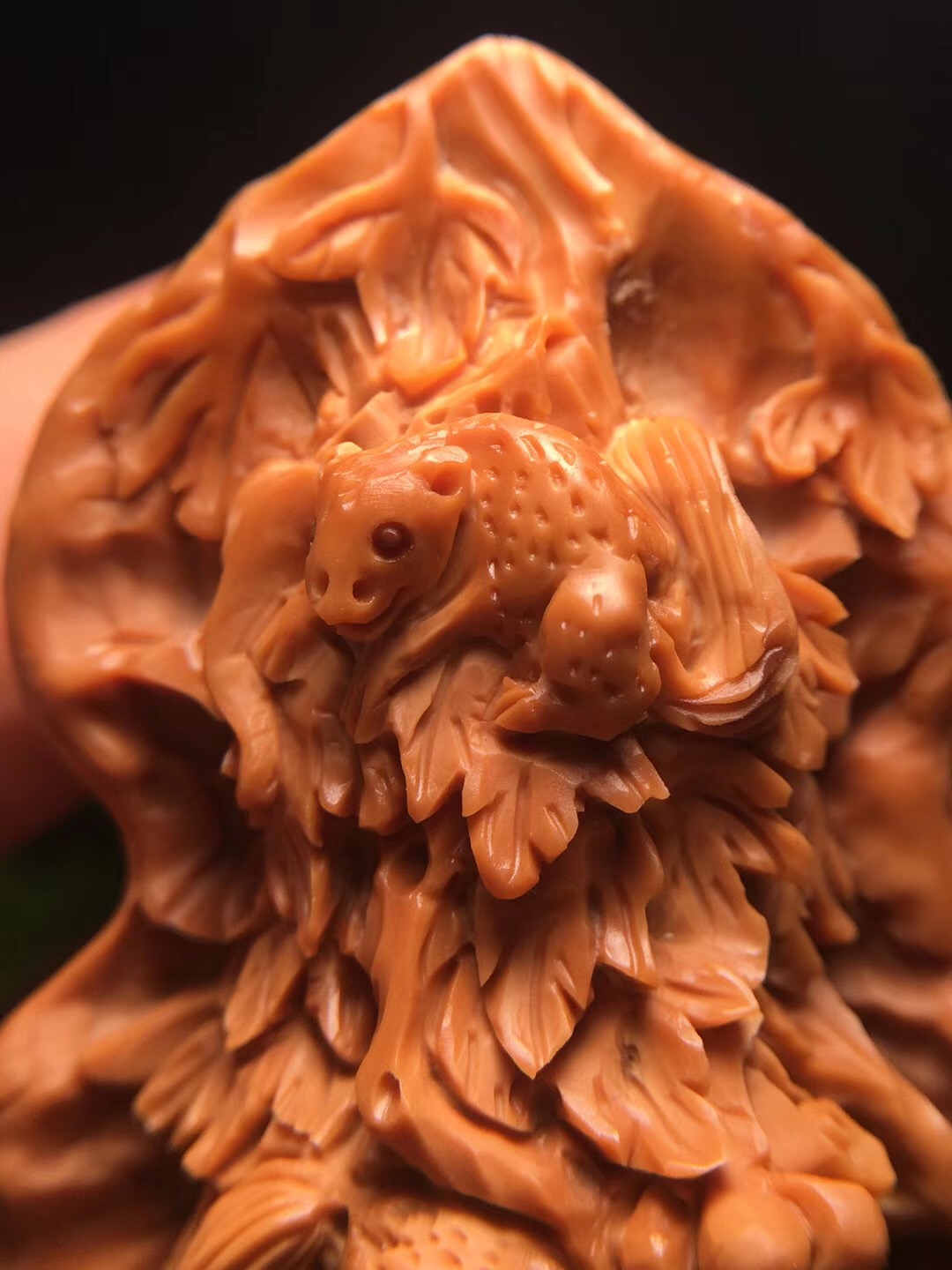 落地桃核发黑如何清洗,山桃核的正确清洗方法