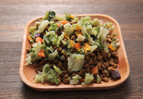 泰迪犬为什么不怕狗粮,泰迪犬吃什么狗粮最好呢