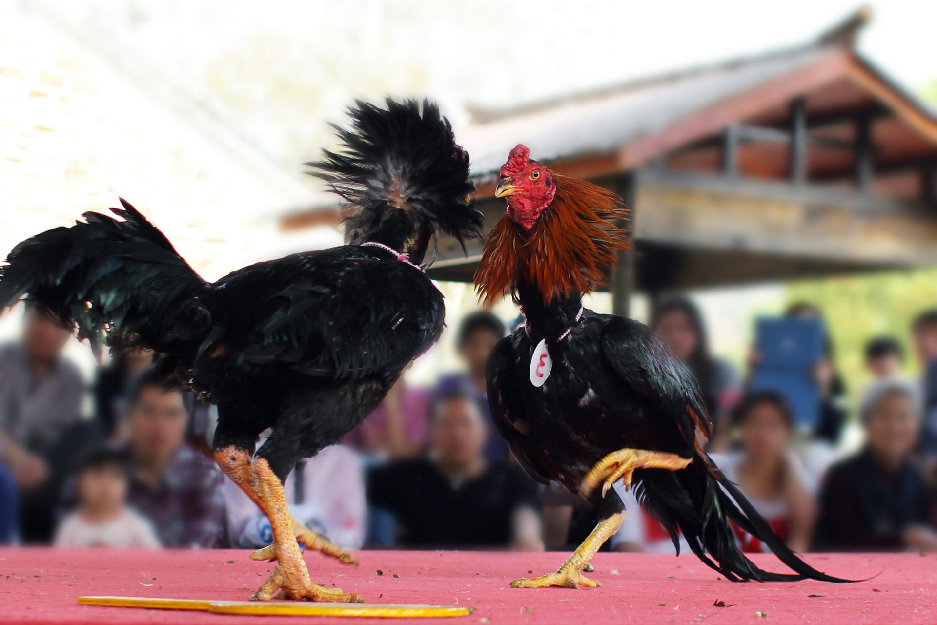 肝癌术后最可怕的并发症，你了解吗？