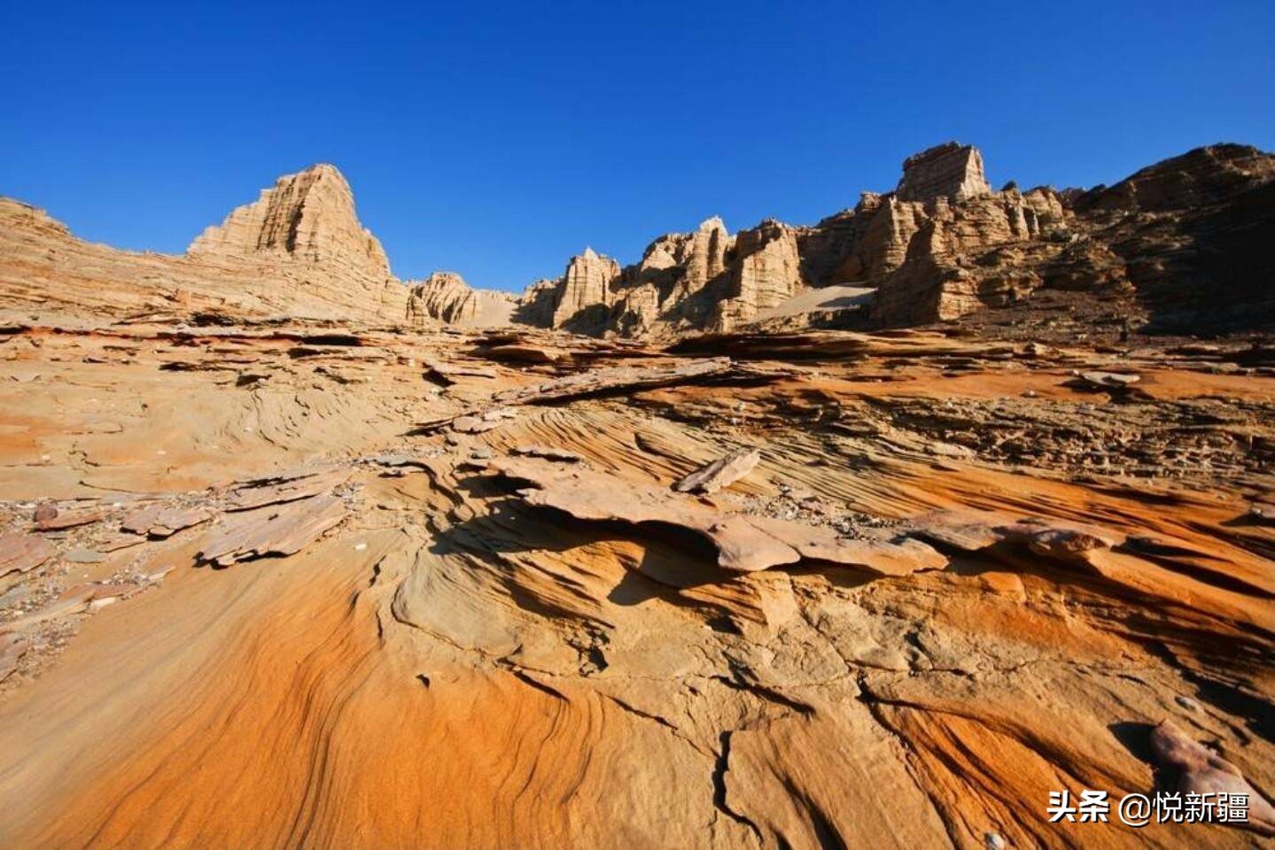 我来告诉你*疆新**为撒不包邮！！