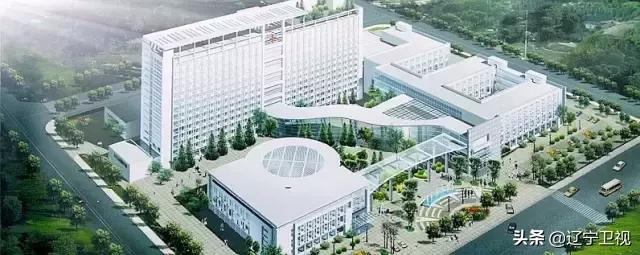 区域急危重症救治,29种危急重症急救流程图解