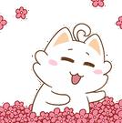 电商法颁布，跨境电商迎来春天